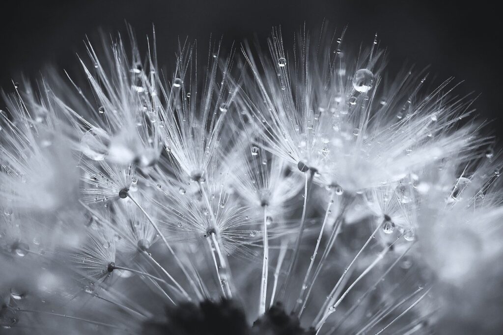 30代で彼女欲しい人におすすめのアプリは？