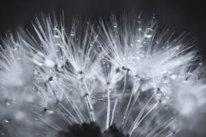 30代で彼女欲しい人におすすめのアプリは？