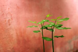 30代の婚活アプリで婚活疲れを解消する方法は？